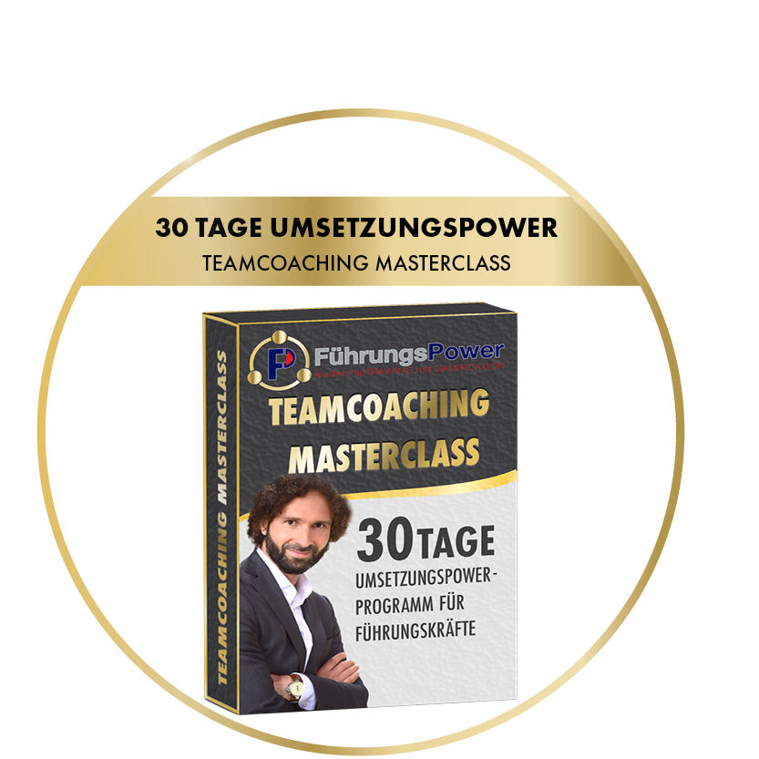 Modulsbild-Online-Kurs-30-TAGE-UMSETZUNGSPOWER-FuerhungsPower-200